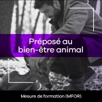 Préposé au bien-être animal