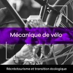 Recreotouristique mecanique velo